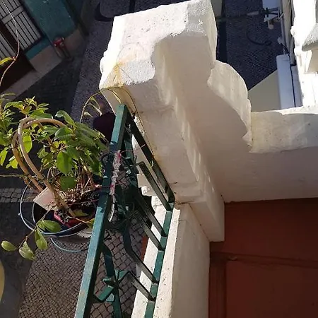 Alojamento, Pensão Ferro - * Aveiro